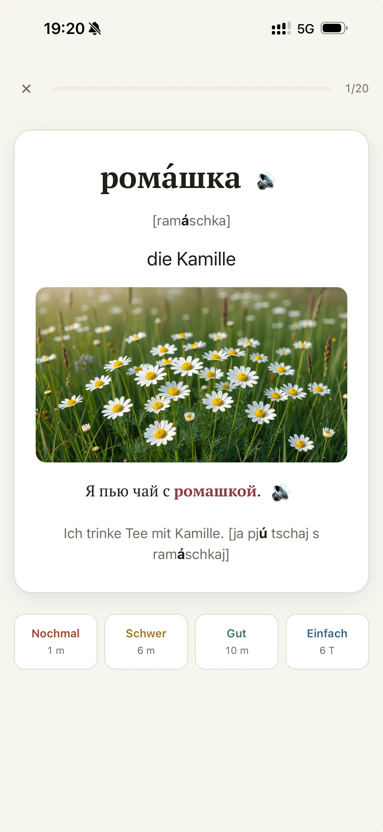 ruski: Lernkarte mit Wort, Bild, Beispielsatz und vier Bewertungs-Buttons im Handyrahmen